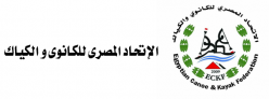 The Egyptian canoe kayak federation The Egyptian canoe kayak federation