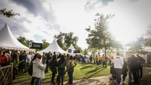 erictraversiephoto-396