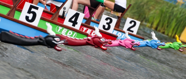 Dragon Boat Poznan 2014 general
