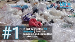 Top 5 #CleanSeas highlights - Year 1