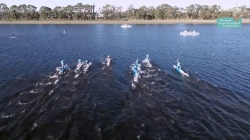 SUP Men Open - 3rd Quarterfinal / 2024 ICF SUP World Championships Sarasota USA