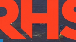 SUP Men Open - Heat 5 / 2024 ICF SUP World Championships Sarasota USA